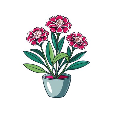 Çarpıcı Dianthus Caryophyllus Özet Çizimi