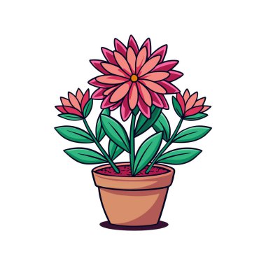 Vibrant Dimorphotheca Sinuata Outline Art clipart