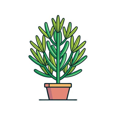 Charming Ephedra Houseplant Art clipart