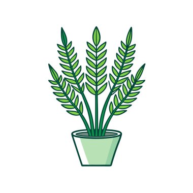 Lush Foxtail Fern Houseplant Vector Design clipart