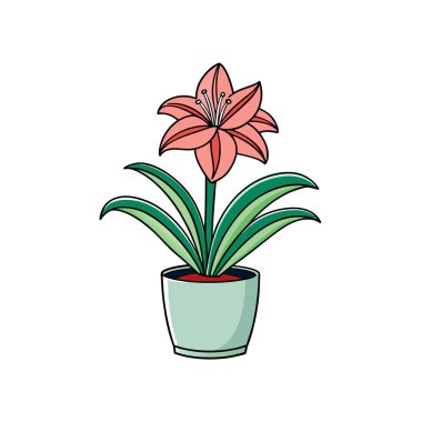 Sanatsal Hippeastrum Ev Bitkisi Tasarımı