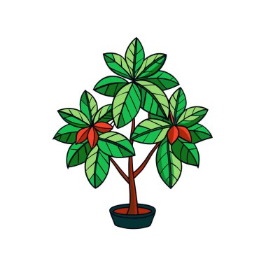 Charming Jatropha Podagrica Plant Illustration clipart