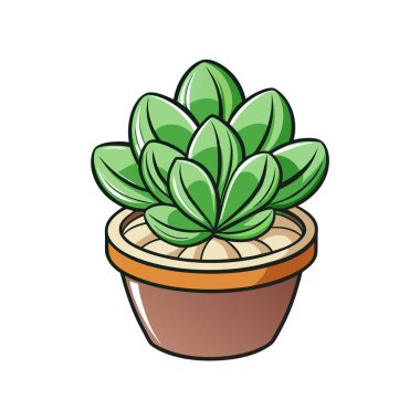 Stylish Marmorata Lithops Houseplant Art clipart