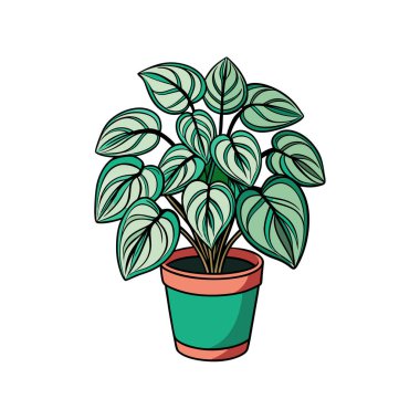 Stylish Peperomia Obtusifolia Outline Design clipart