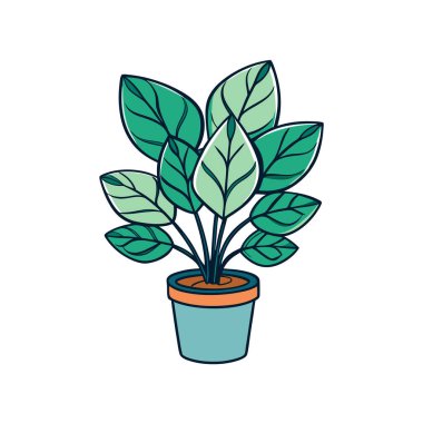 Elegant Polyscias Houseplant Vector Design clipart