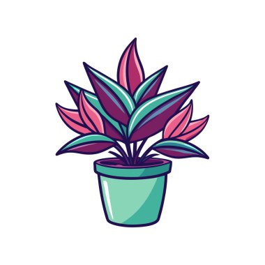 Dynamic Rhoeo Houseplant Artwork clipart