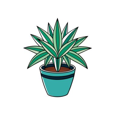 Unique Triteleia Houseplant Image clipart