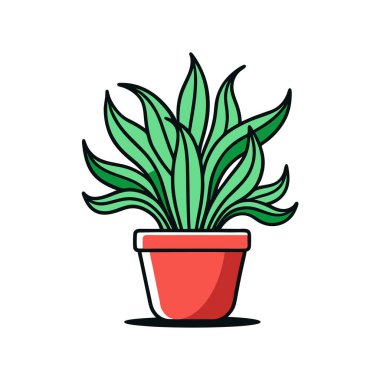 Charming Welwitschia Houseplant Illustration clipart