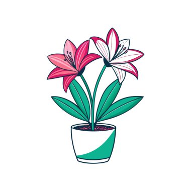 Stylish Zephyranthes Houseplant Design clipart