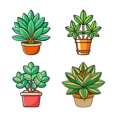 Vibrant Ursinia Houseplant Graphic clipart