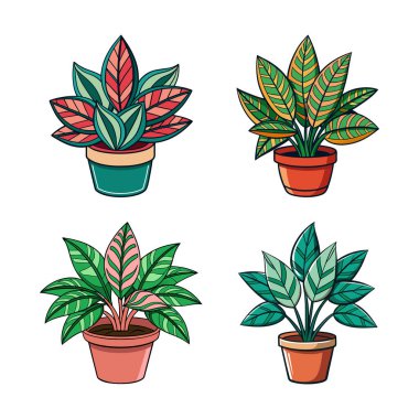 Odontonema Houseplant Bold Outline Art clipart