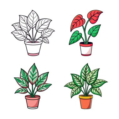 Stylish Hotlips Plant Houseplant Art clipart