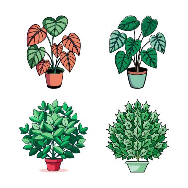 Stylish Heartleaf Philodendron Houseplant Outline Design clipart