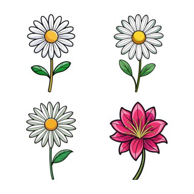 Vibrant Scentless Mayweed Flower Illustration with Bold Outline clipart