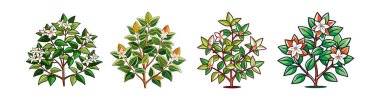 Bold Outline Abelia Houseplant Artwork clipart