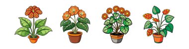 Bold Outline Calceolaria Plant Illustration clipart