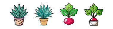 Charming Furcraea Houseplant Vector Design clipart