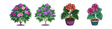 Charming Glory Bush Tibouchina Illustration for Decor clipart