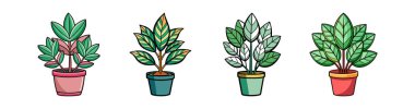 Charming Neobuxbaumia Houseplant Illustration clipart