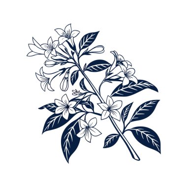 Vibrant Abelia Grandiflora Houseplant Illustration clipart