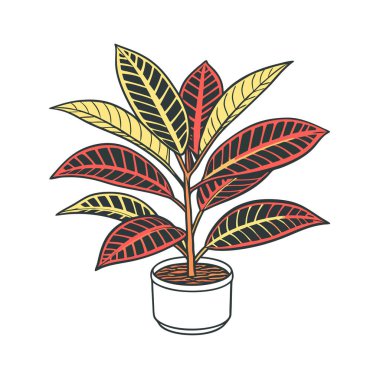 Croton Houseplant Bold Outline Art clipart