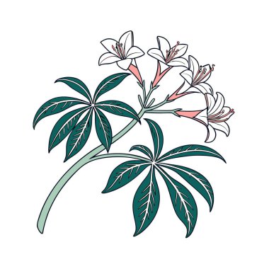 Unique Dicliptera Houseplant Bold Outline clipart