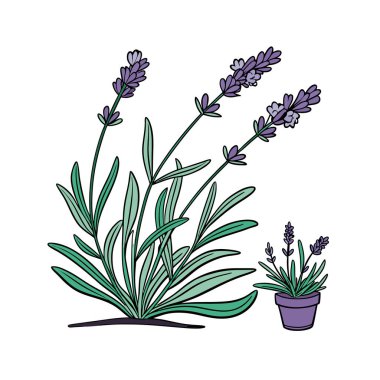 Stylish Lavender Scentsation Houseplant Outline Design clipart