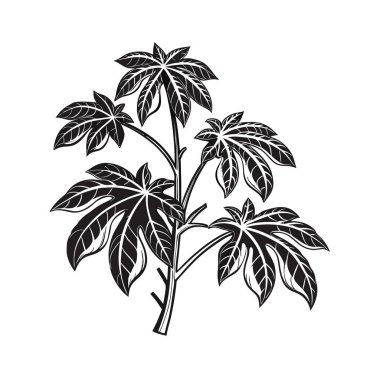 Distinctive Ming Aralia Design for Home Decor clipart