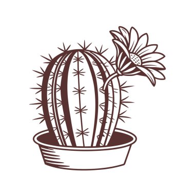 Charming Thelocactus Houseplant Illustration clipart