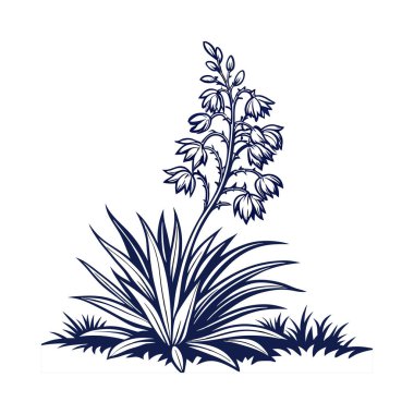 Unique Yucca Filamentosa Houseplant Image clipart