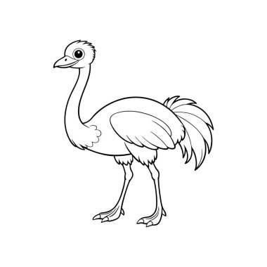 Charming Ostrich Animal Illustration clipart