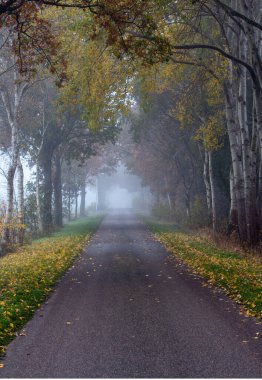 Viyana 'da, Viyana' da, Viyana 'da, Viyana' da, Viyana 'da. Van de Herfst, de bladeren gingen vallen, de berm kleurt al geel en de weg is verlaten op deze morgen.