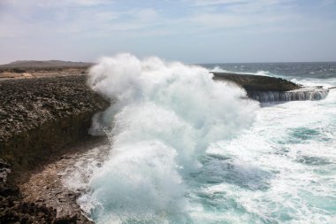 Bir doğa koruma alanında güzel bir yer, dalgaların kayalara çarptığı ve doğanın her yerde olduğu yer.