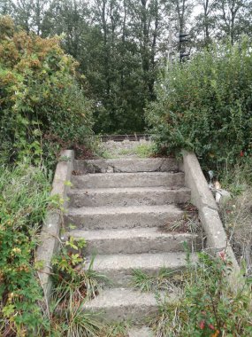 Parktaki eski taş merdiven.