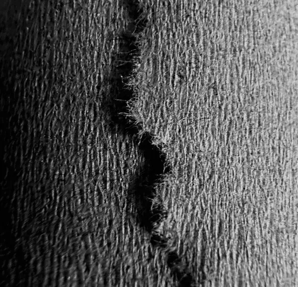 siyah ve beyaz deri dokusu