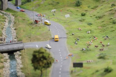 Oyuncakların büyülü dünyası