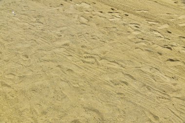 Kumsalın yüzeyi pürüzsüz ve sarımtırak.