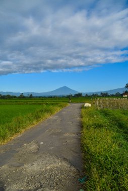 Yeşil tarlalı yol, mavi gökyüzü, bulutlar, bulutlar ve güneş