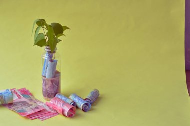 Para şişede yuvarlanıyor, sarı arka planda küçük bir ağaç var, enflasyon, finans, tasarruf kavramı