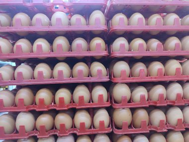 Kırmızı plastik raflarda sıralanmış tavuk yumurtaları.