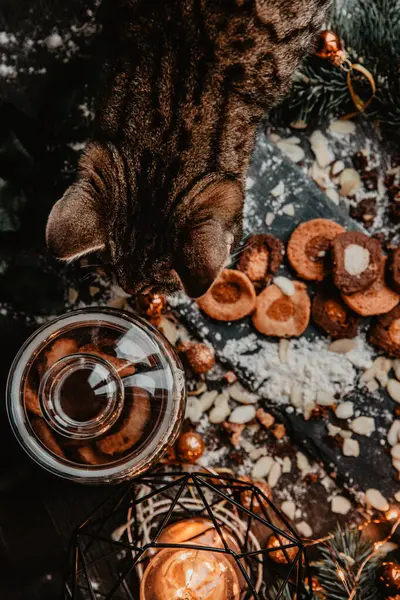 Noel kurabiyeleri, süsler ve dekore edilmiş bir masada mum keşfeden bir kedinin samimi manzarası. Sıcak ve şenlikli ortam evcil hayvanlarla tatil kutlamaları için mükemmel..