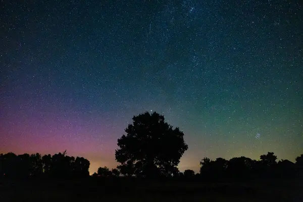 Perseid Meteor Yağmuru ve Kuzey Işıkları Westhavelland Karanlık Gök Rezervi, Brandenburg, Almanya
