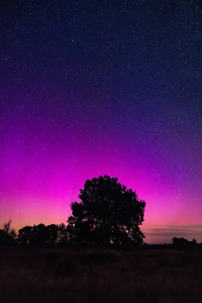 Perseid Meteor Yağmuru ve Kuzey Işıkları 'nın dikey fotoğrafı Ağustos ayında Westhavelland Dark Sky Reserve, Brandenburg, Almanya