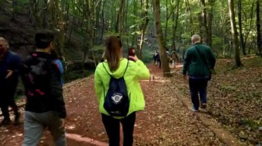 İstanbul, Türkiye - Mayıs 2022: İnsanlar Belgrad ormanlarında orman yolunda yürüyor. Belgrad ormanı İstanbul 'da popüler bir yürüyüş ve yürüyüş beldesi