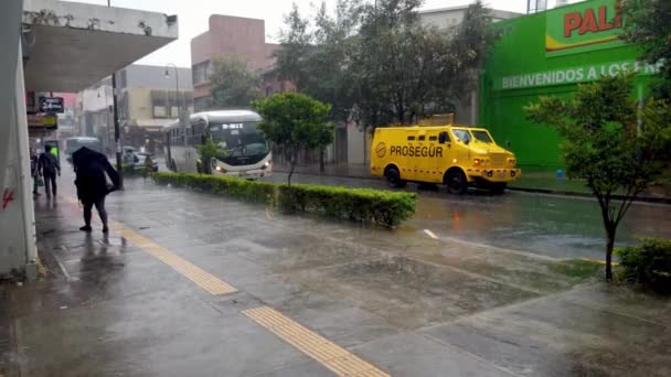 圣何塞 哥斯达黎加 2022年6月 大雨天期间的圣何塞市 人们在雨中带着雨伞散步 — 图库视频影像