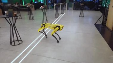 Istanbul, Turkey - December 2022: Boston Dynamics robot Spot, a multi-purpose robodog walking in a room