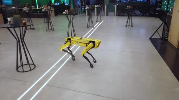Istanbul Turkey December 2022 Boston Dynamics Robot Spot Multi Purpose — 图库视频影像