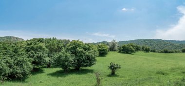 Kyrgyzstan nature green landscape with vast mountains. Kyrgyzstan is a landlocked country located in central Asia, known for its rugged, mountainous terrain and verdant grasslands.