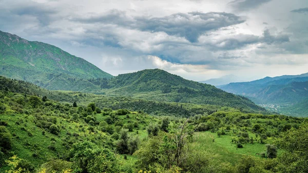 Sary-Chelek Nature Reserve landscape, a protected area located in the Kyrgyzstan. It is home to a diverse range of plant and animal species, including several threatened and endangered species.