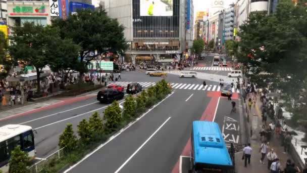 Tokyo Japan August 2018 Timelapse Shibuya Crossing Popular Intersection Tokyo — Stock Video